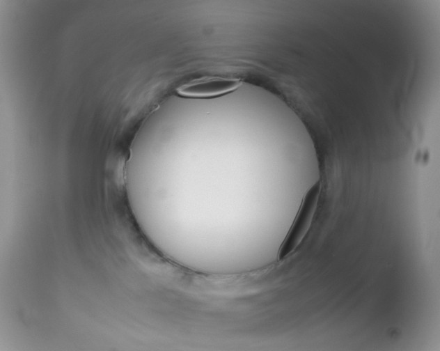 X0000113110041200908281028
