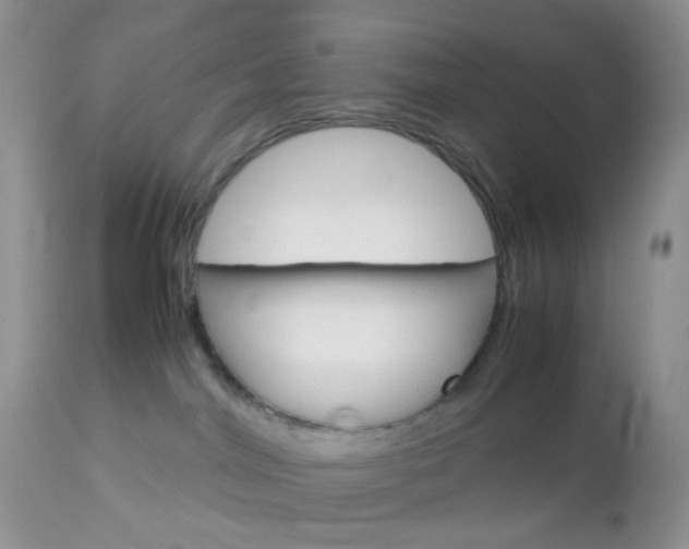 X0000113110044200908281028
