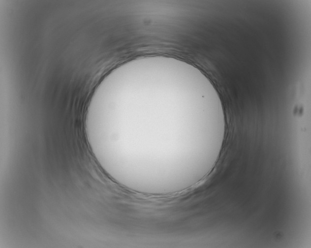 X0000113110045200908281028
