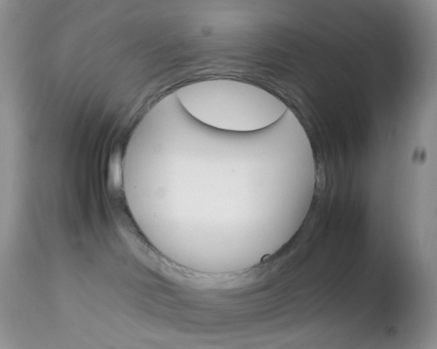X0000113110046200908281028