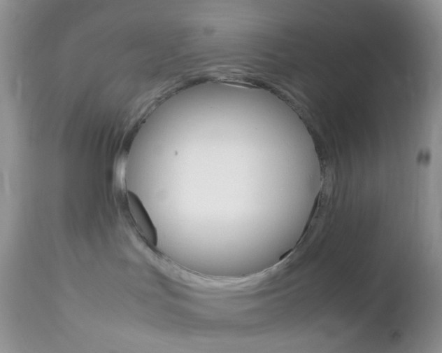 X0000113110047200908281028