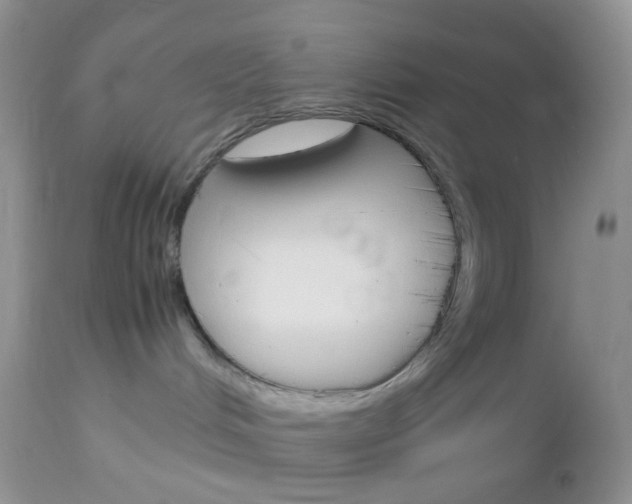 X0000113110048200908281028