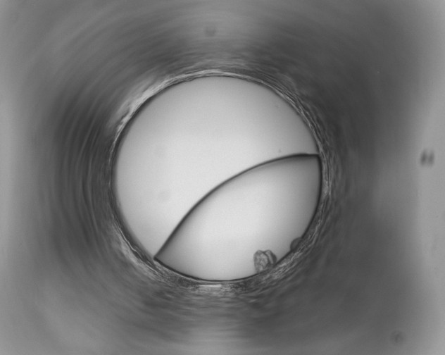 X0000113110050200908281027