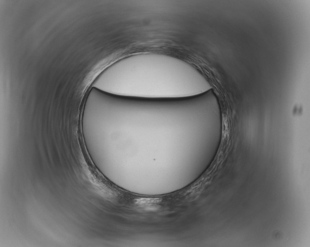X0000113110051200908281027