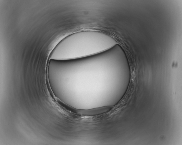 X0000113110052200908281027