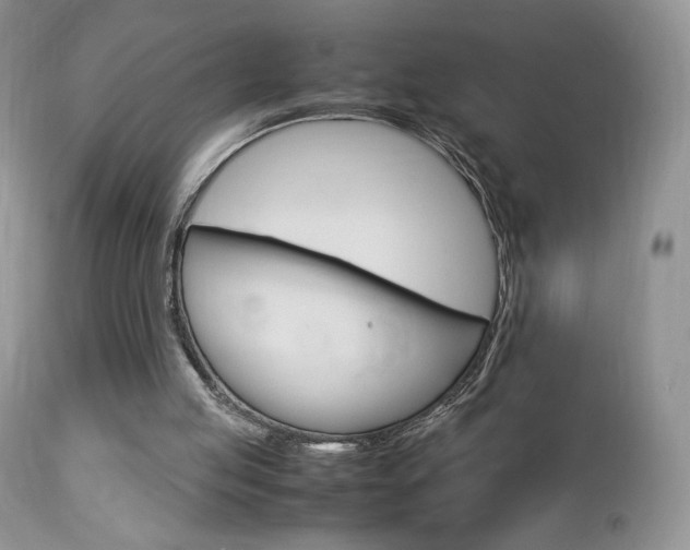 X0000113110053200908281027