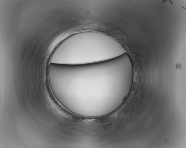 X0000113110054200908281027