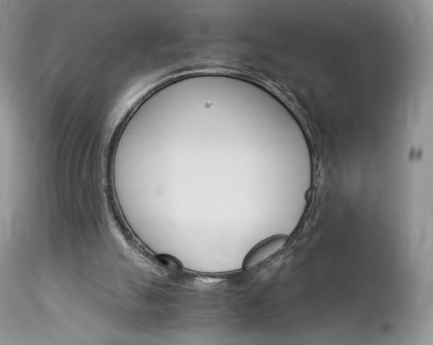X0000113110055200908281027