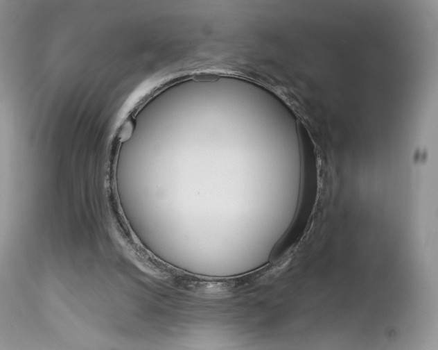 X0000113110056200908281027