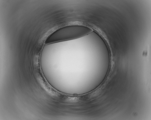 X0000113110057200908281027