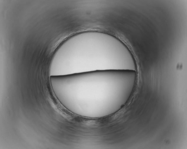 X0000113110058200908281027