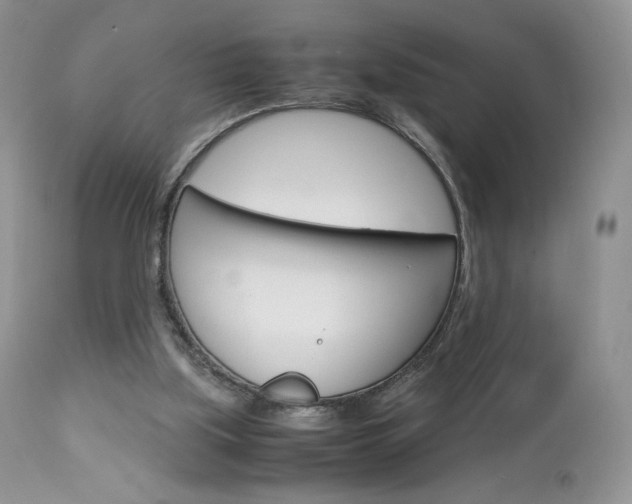 X0000113110059200908281027
