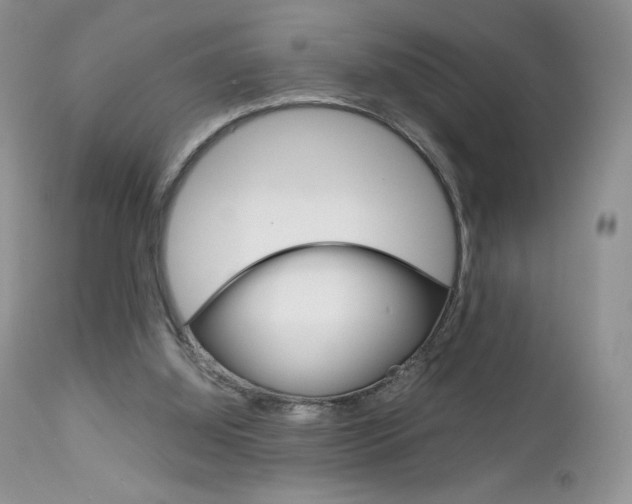 X0000113110060200908281027