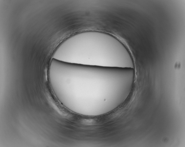 X0000113110061200908281027