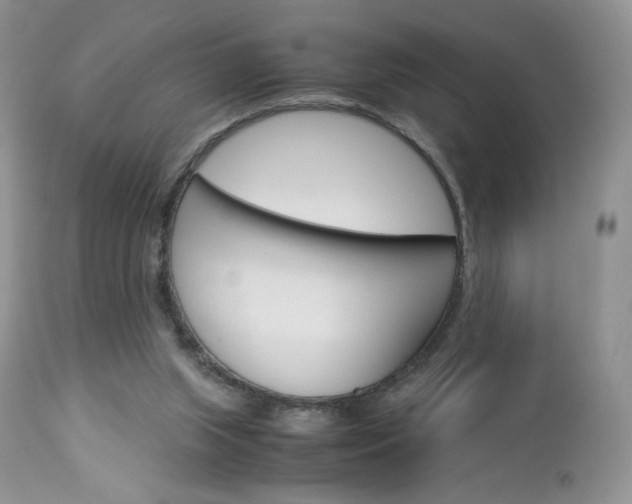 X0000113110063200908281027