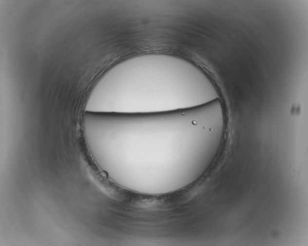 X0000113110065200908281027