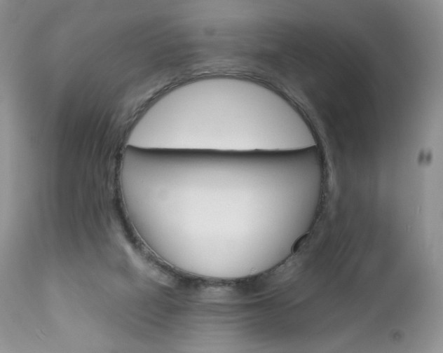 X0000113110066200908281027
