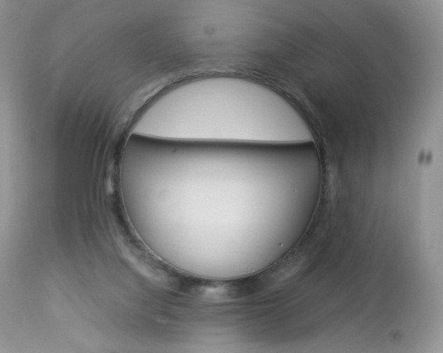 X0000113110068200908281027