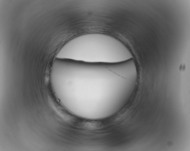 X0000113110069200908281027