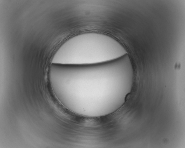 X0000113110070200908281027