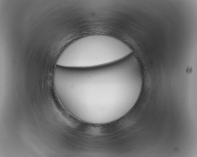 X0000113110071200908281027