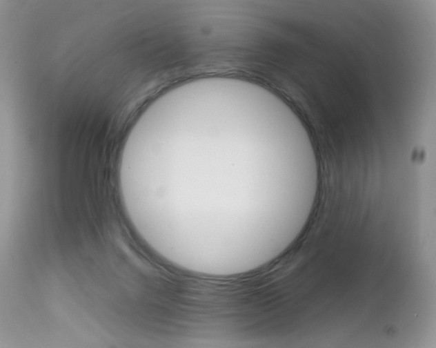 X0000113110072200908281027