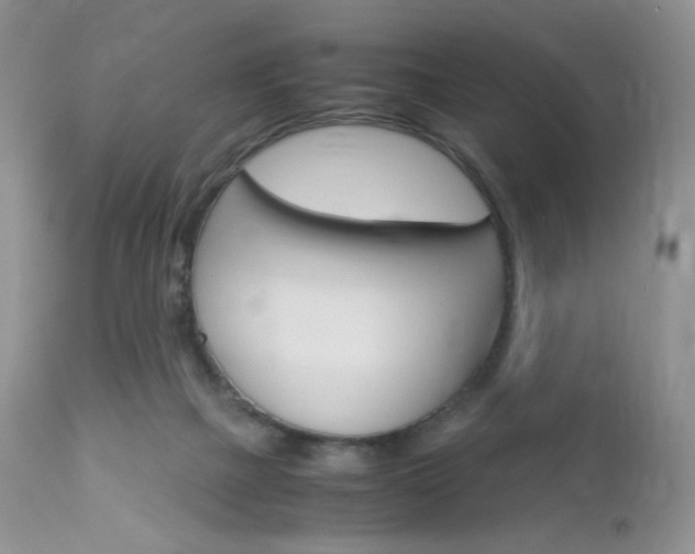 X0000113110073200908281027
