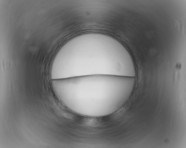 X0000113110074200908281027