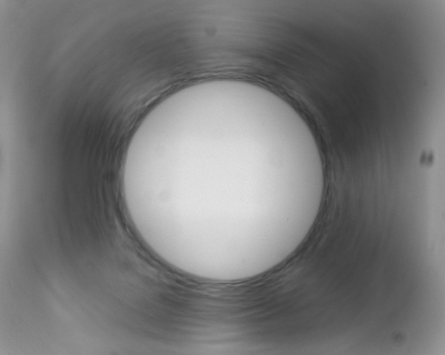 X0000113110076200908281027
