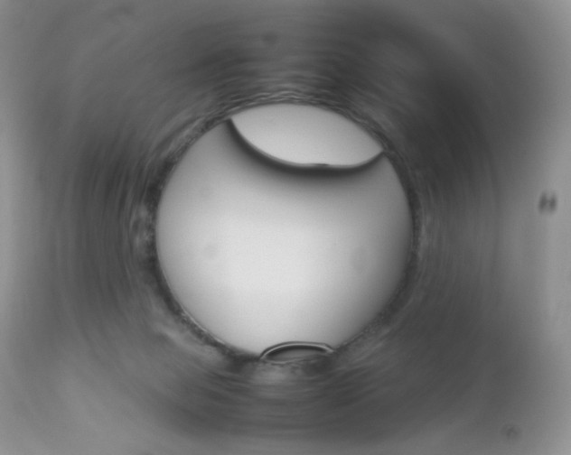 X0000113110077200908281027