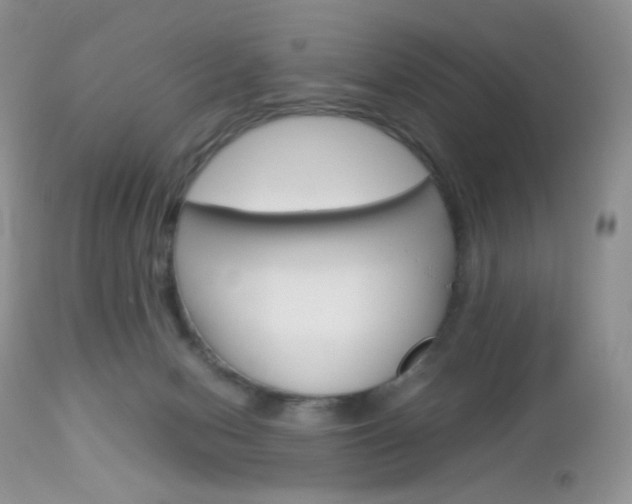 X0000113110078200908281027