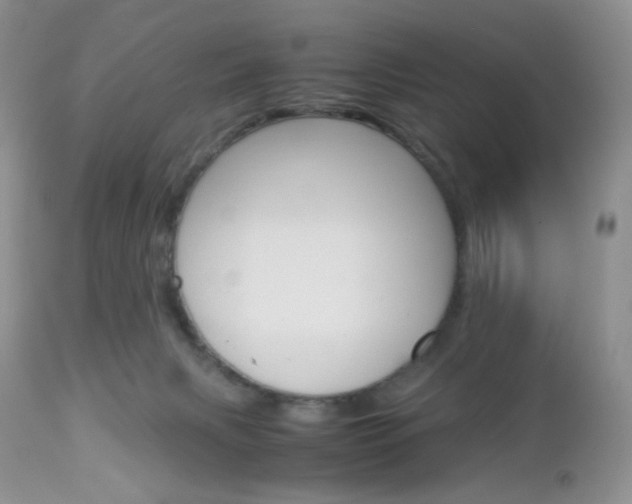 X0000113110079200908281027