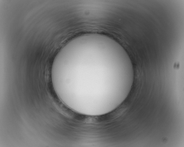 X0000113110080200908281027