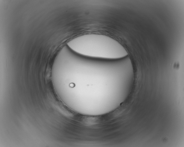 X0000113110081200908281027