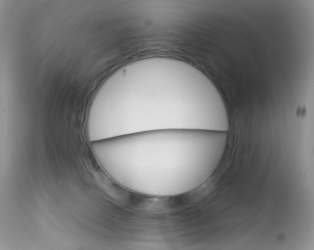 X0000113110082200908281027