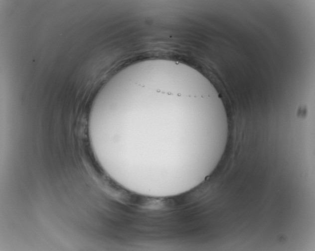 X0000113110083200908281027