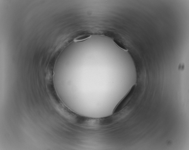 X0000113110084200908281027