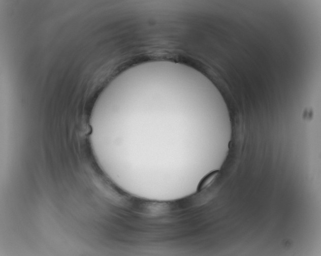 X0000113110085200908281027