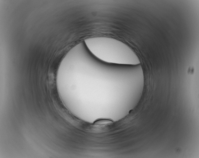 X0000113110087200908281027