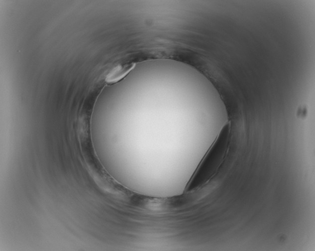 X0000113110088200908281027