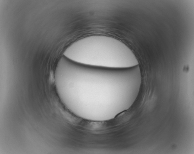 X0000113110089200908281027