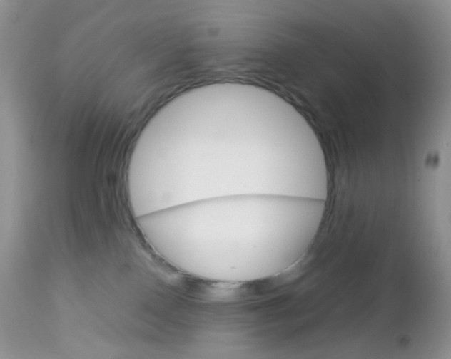 X0000113110090200908281027