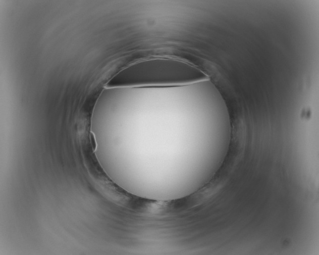 X0000113110092200908281027