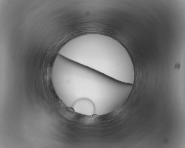 X0000113110093200908281028