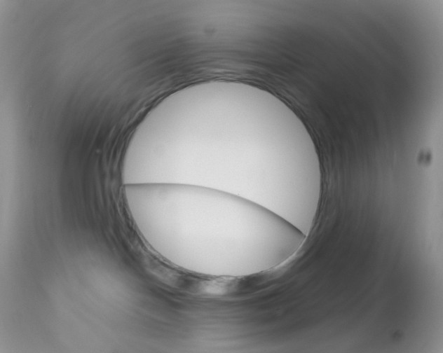 X0000113110094200908281028