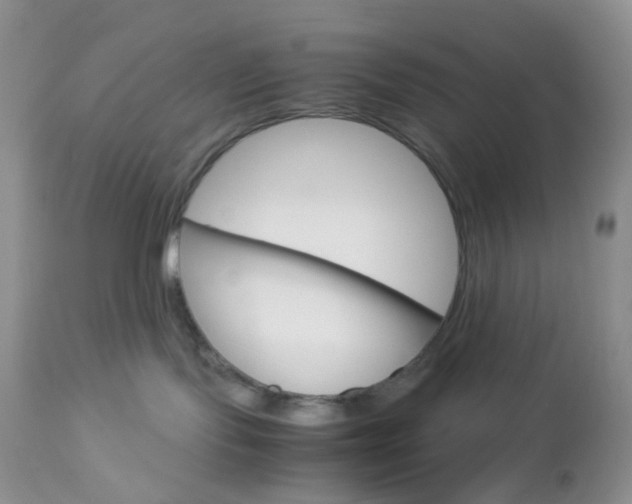 X0000113110095200908281028