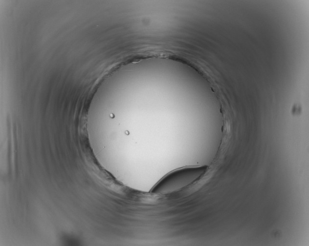 X0000113110096200908281028