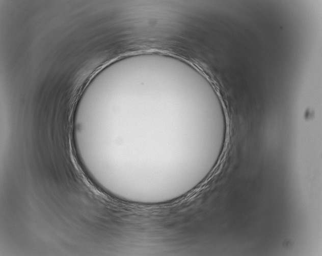 X0000113110097200908281027