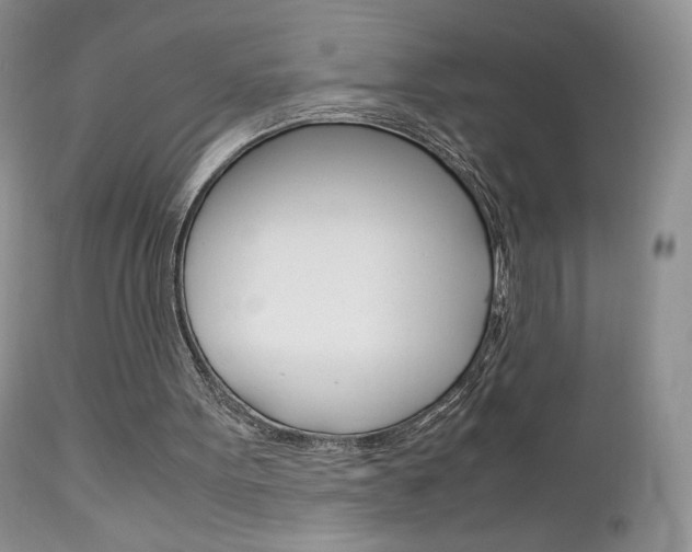 X0000113110099200908281027