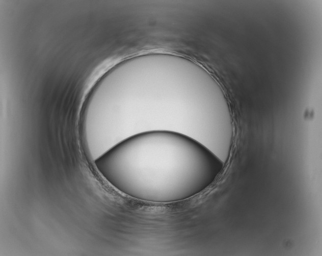 X0000113110104200908281027